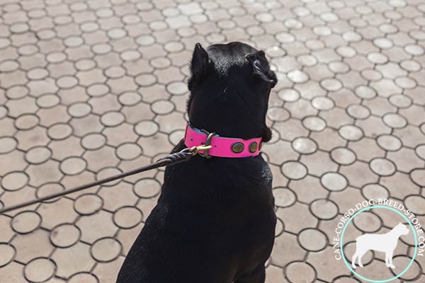 Leather dog collar with non-corrodible hardware