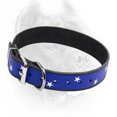 Leather safety dog collar