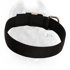 Everyday reliable nylon collar 