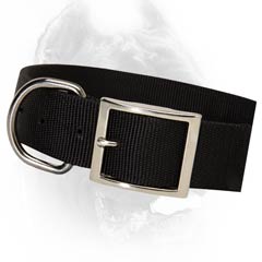 Quality nylon dog collar