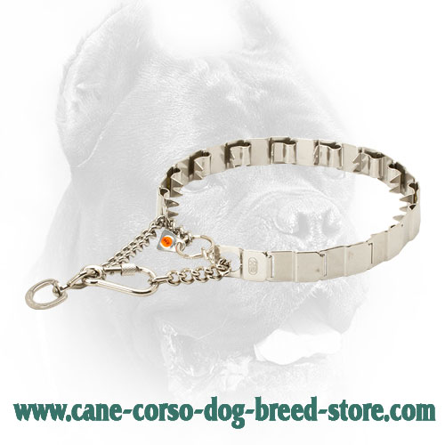 Neck Tech Top Grade Cane Corso Prong Collar