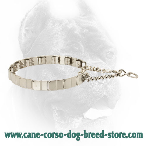 Neck Tech HS Cane Corso Pinch Collar