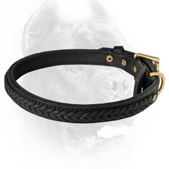 Walking dog collar for Molosser dogs