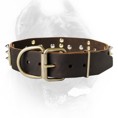 Hand crafted canine collar