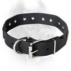 Walking leather dog collar