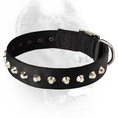 Best nylon collar