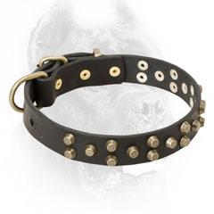 Branded leather Cane Corso collar stud decorated