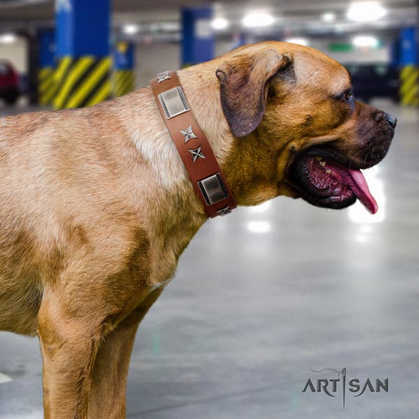 Cane Corso embellished genuine leather collar with reliable buckle