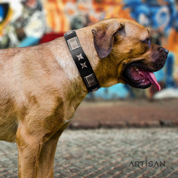 Cane Corso decorated leather collar with corrosion resistant hardware