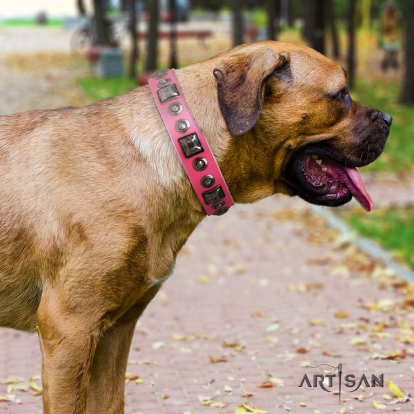 Cane Corso genuine leather collar with rust resistant hardware