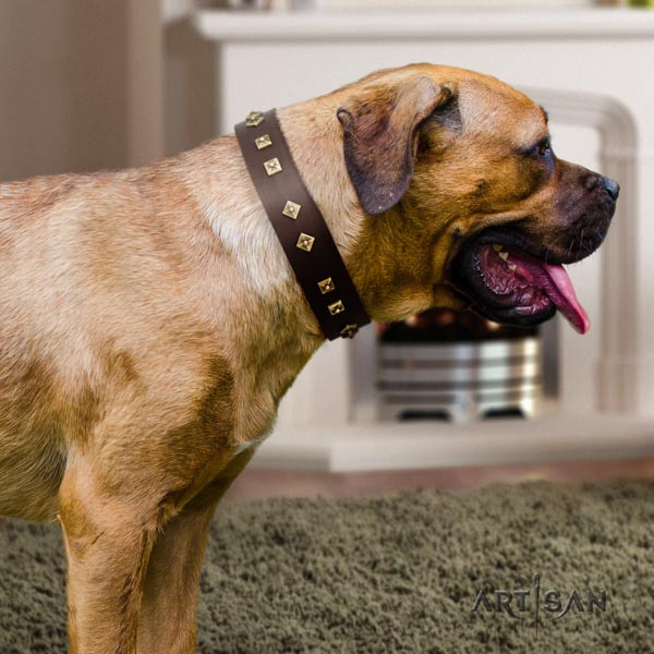 Cane Corso embellished full grain natural leather collar with corrosion proof D-ring