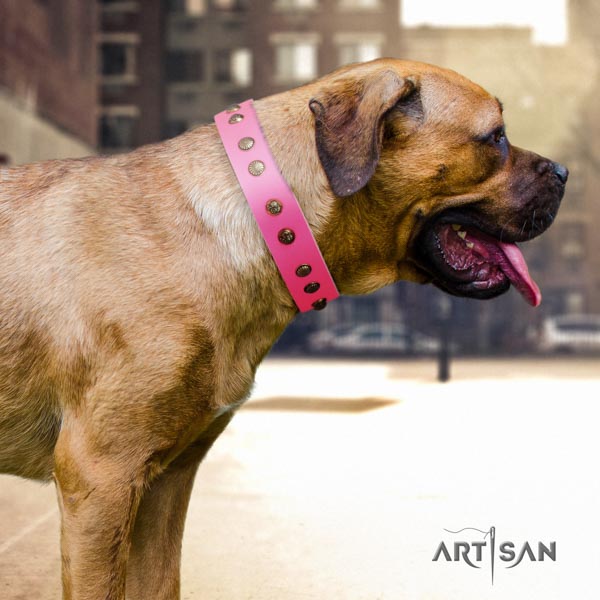 Cane Corso studded natural genuine leather collar with rust-proof fittings