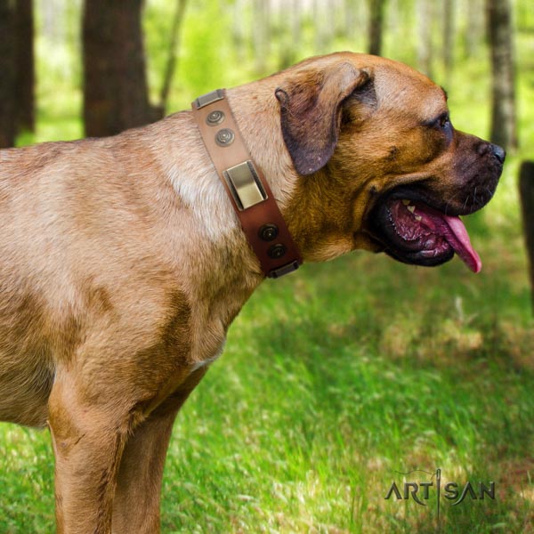 Cane Corso decorated full grain genuine leather collar with rust-proof D-ring