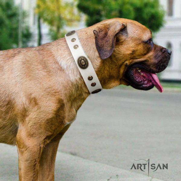 Cane Corso embellished full grain genuine leather collar with rust-proof D-ring