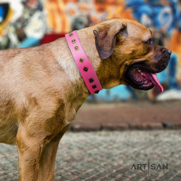 Cane Corso studded full grain genuine leather collar with corrosion resistant D-ring
