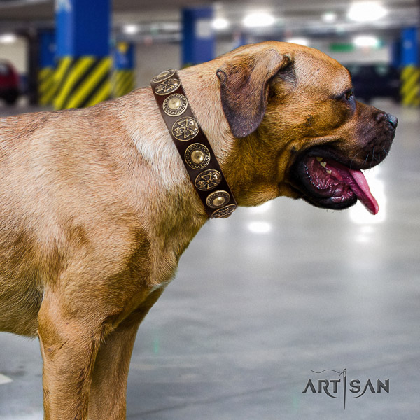 Cane Corso comfortable genuine leather dog collar for comfortable wearing
