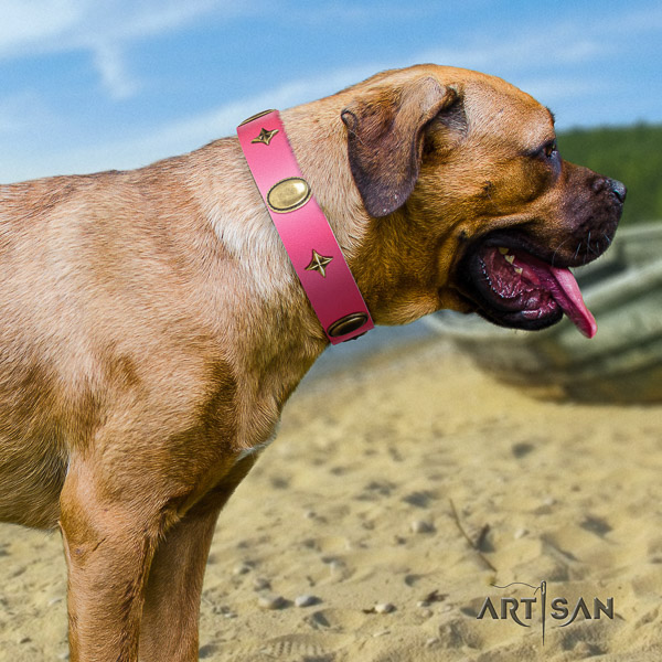 Cane Corso embellished full grain genuine leather dog collar for handy use