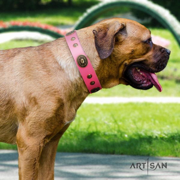Cane Corso decorated full grain natural leather collar with rust-proof buckle