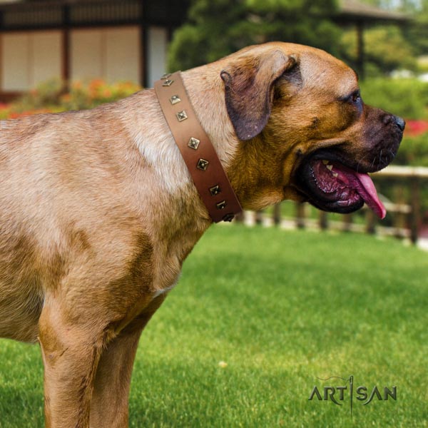 Cane Corso decorated genuine leather collar with rust resistant hardware