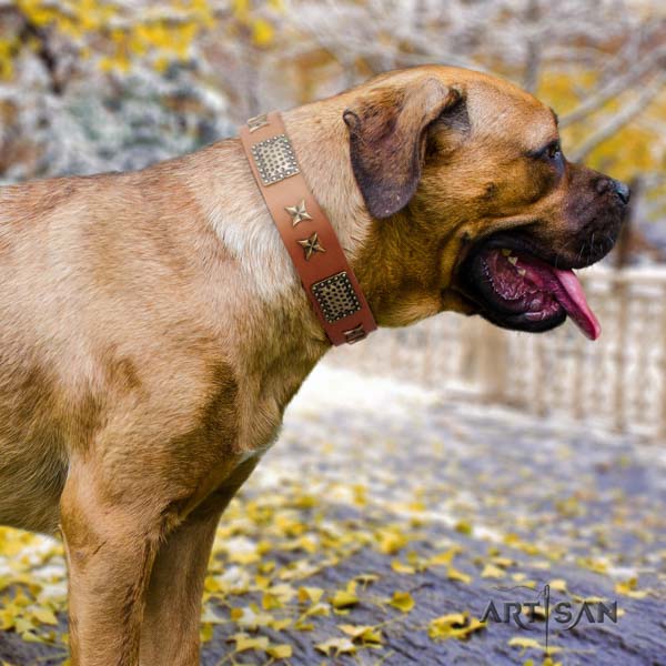 Cane Corso decorated full grain genuine leather collar with rust-proof buckle