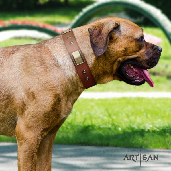 Cane Corso studded full grain natural leather collar with reliable traditional buckle