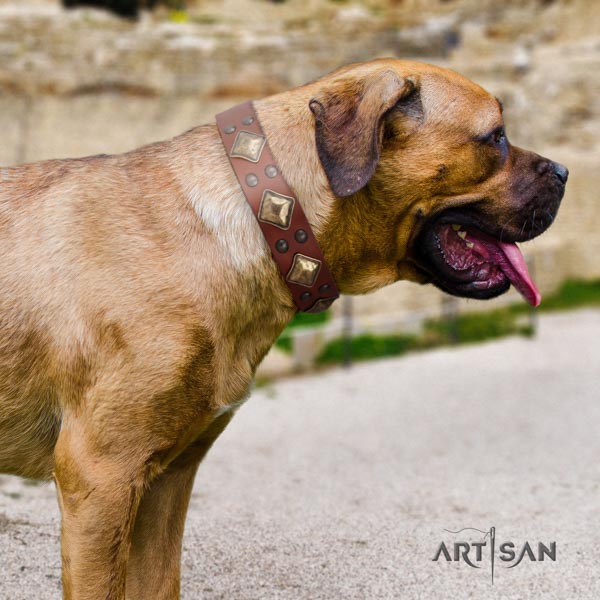 Cane Corso studded leather collar with reliable fittings