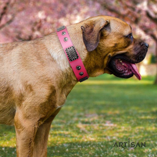 Cane Corso embellished leather collar with reliable D-ring