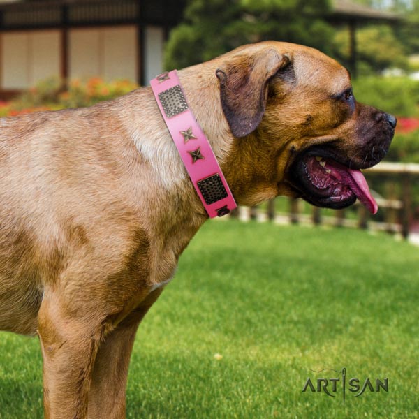 Cane Corso studded leather collar with strong buckle