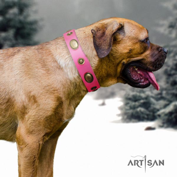 Cane Corso decorated leather collar with reliable D-ring
