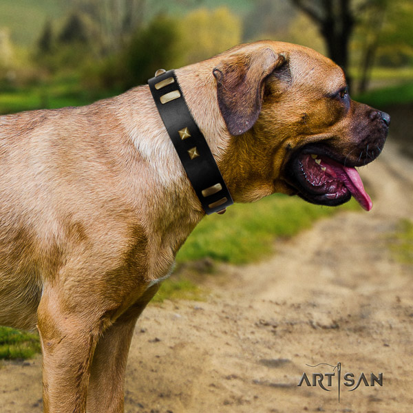 Cane Corso top quality genuine leather dog collar for comfy wearing