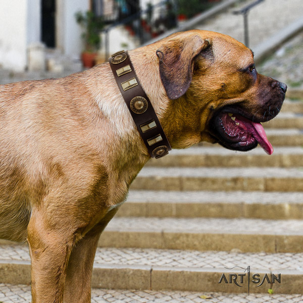 Cane Corso trendy leather dog collar for handy use