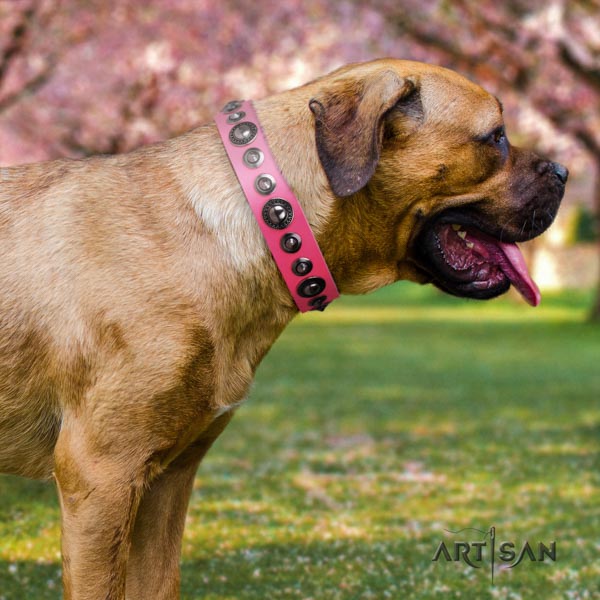 Cane Corso full grain natural leather collar with rust-proof hardware