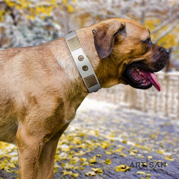 Cane Corso best quality natural genuine leather dog collar for daily walking