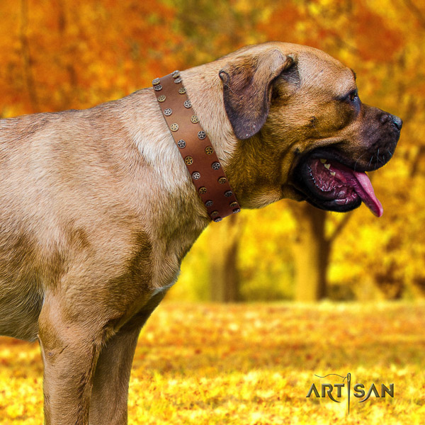 Cane Corso easy adjustable genuine leather dog collar for basic training