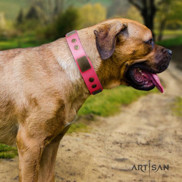 Cane Corso decorated genuine leather collar with corrosion proof D-ring