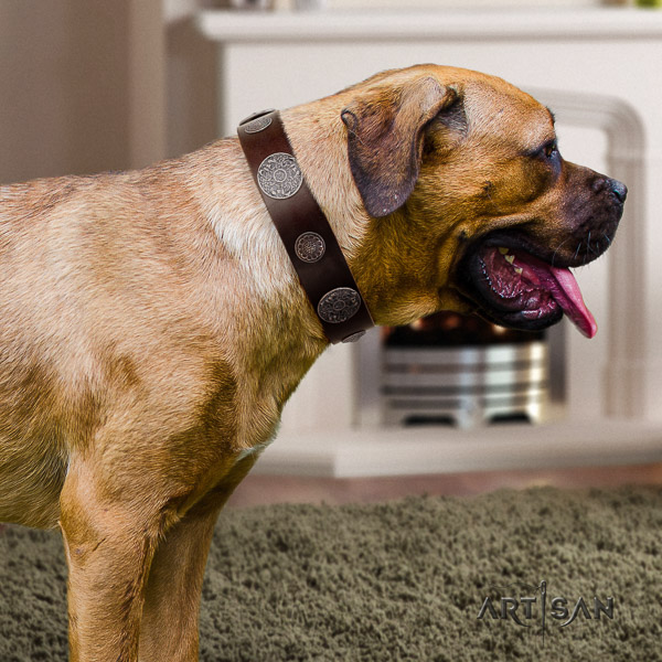 Cane Corso fashionable natural genuine leather dog collar for comfy wearing