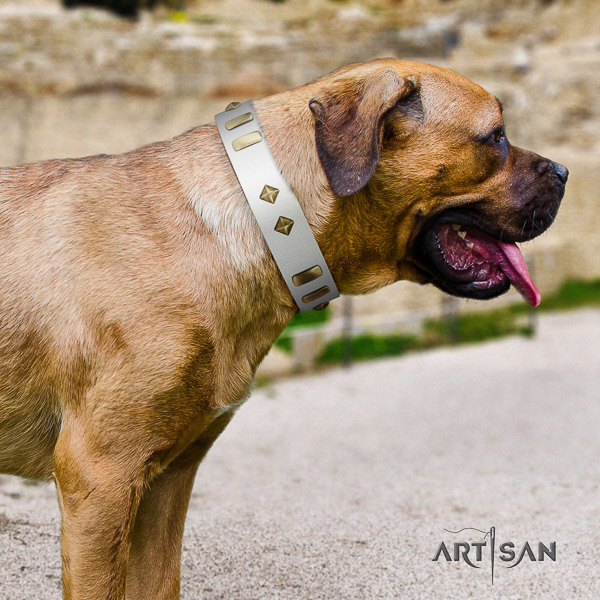 Cane Corso easy to adjust natural genuine leather dog collar for everyday use