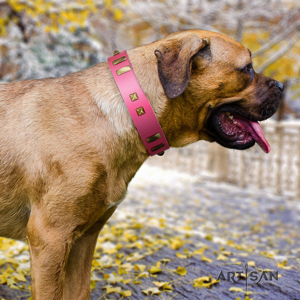 Cane Corso best quality natural genuine leather dog collar for easy wearing