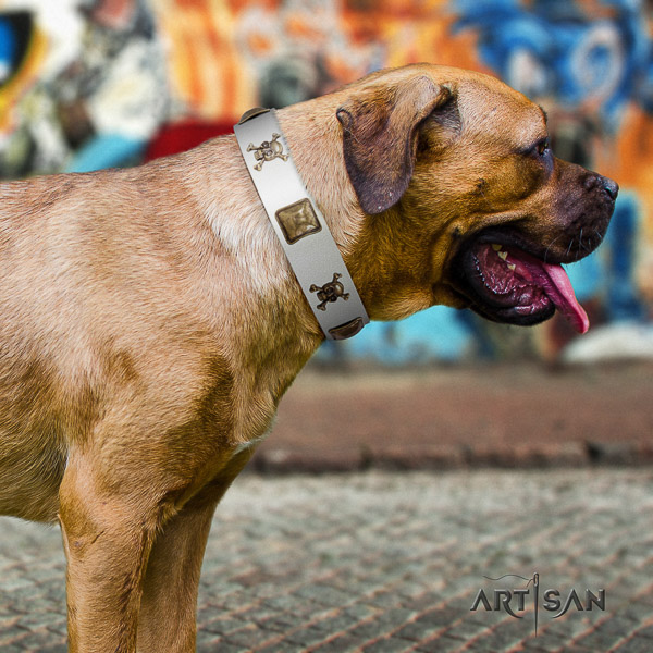 Cane Corso embellished full grain leather dog collar for everyday walking