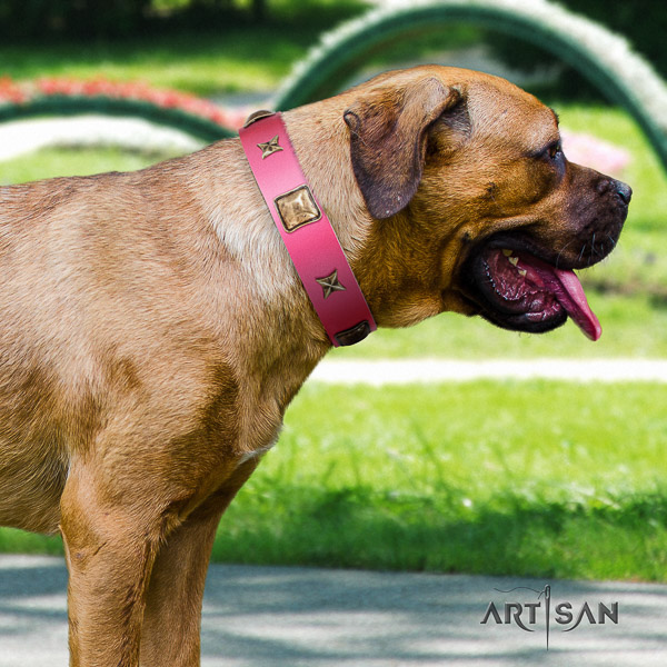 Cane Corso handmade genuine leather dog collar for basic training