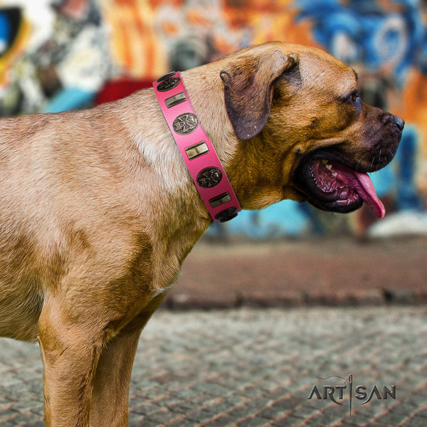 Cane Corso embellished full grain leather dog collar for daily walking