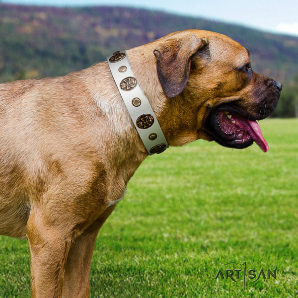 Cane Corso adjustable full grain genuine leather dog collar for everyday use