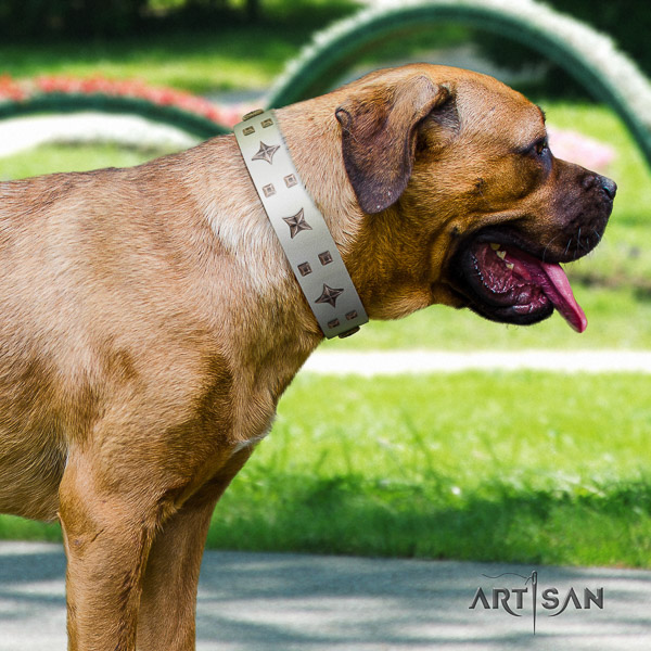 Cane Corso best quality genuine leather dog collar for everyday use