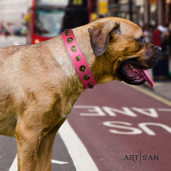 Cane Corso exceptional full grain leather dog collar for daily use