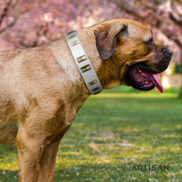 Cane Corso fashionable genuine leather dog collar for everyday use