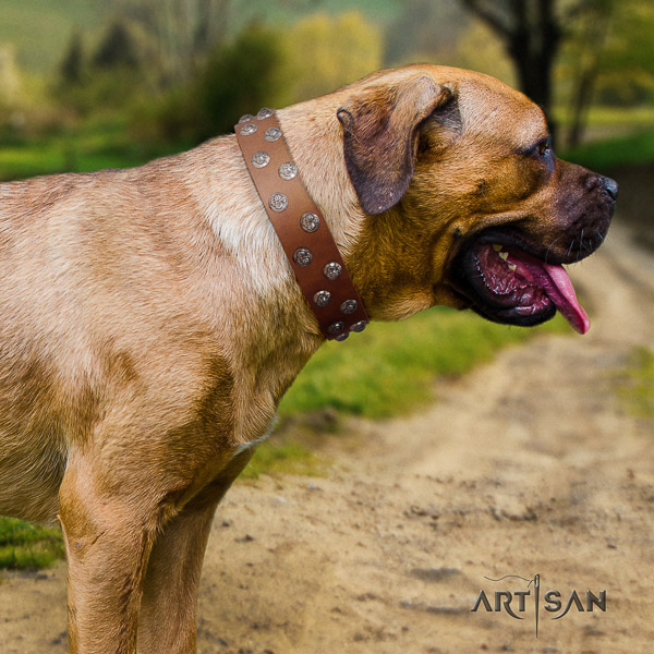 Cane Corso easy adjustable genuine leather dog collar for daily walking