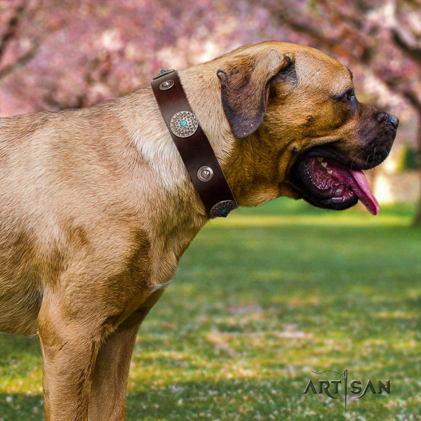 Cane Corso adjustable genuine leather dog collar for daily use