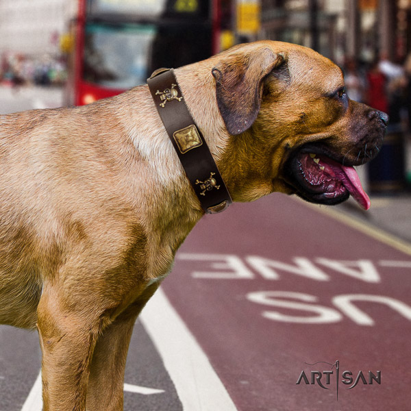 Cane Corso perfect fit genuine leather dog collar for fancy walking