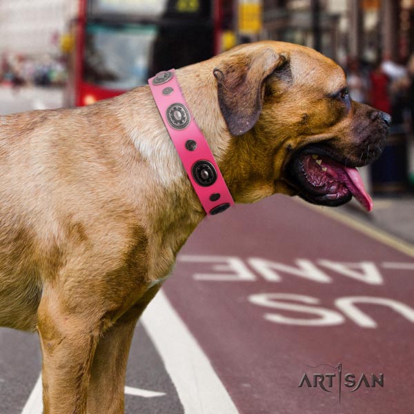 Cane Corso leather collar with reliable traditional buckle