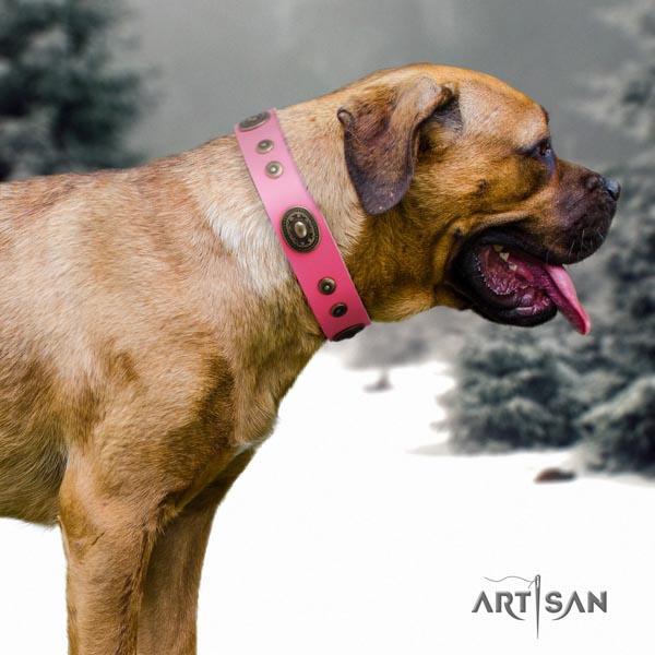 Cane Corso leather collar with corrosion proof hardware
